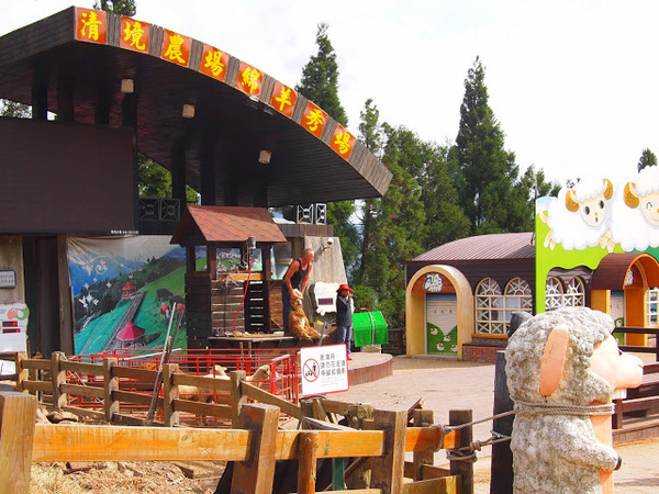 好雞婆土雞城:【食記】【景點】南投好雞婆土雞城&聚彩園休閒山莊@仁愛清境農場 : 與鳳凰共眠~清境山城兩天一夜小旅行! 擺夷料理好吃耶^^