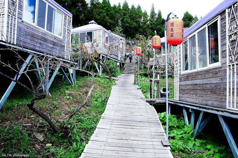 清境美食推薦好雞婆 (6)