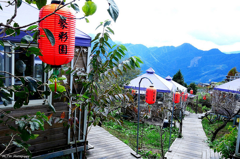 清境美食推薦好雞婆 (5)