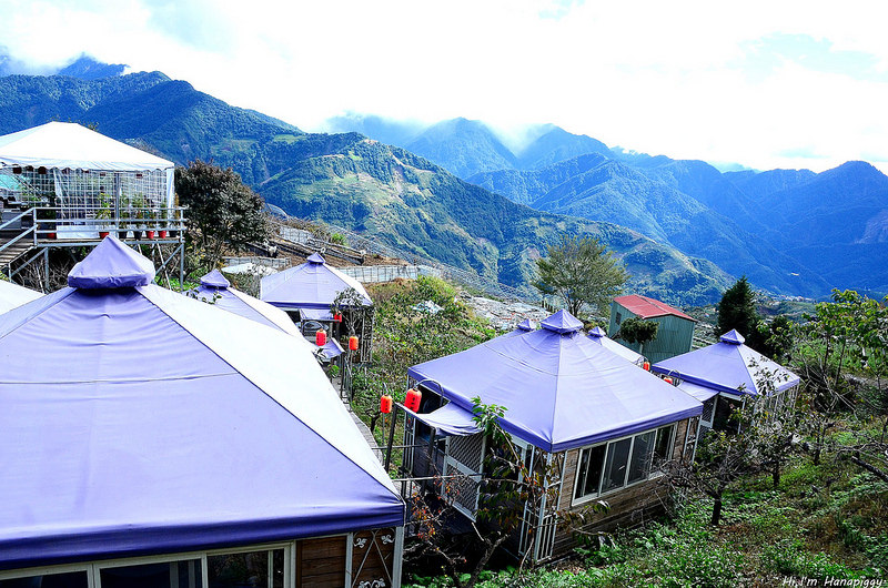 清境美食推薦好雞婆 (8)