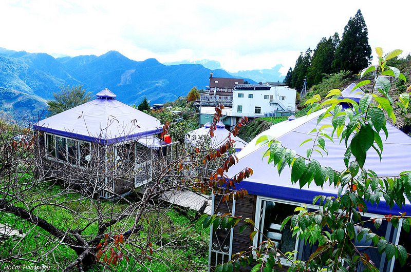 清境美食推薦好雞婆 (7)