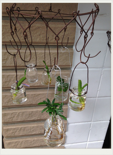 豐盛號：【♥美食】簡單的美味~豐盛號-炭烤三明治