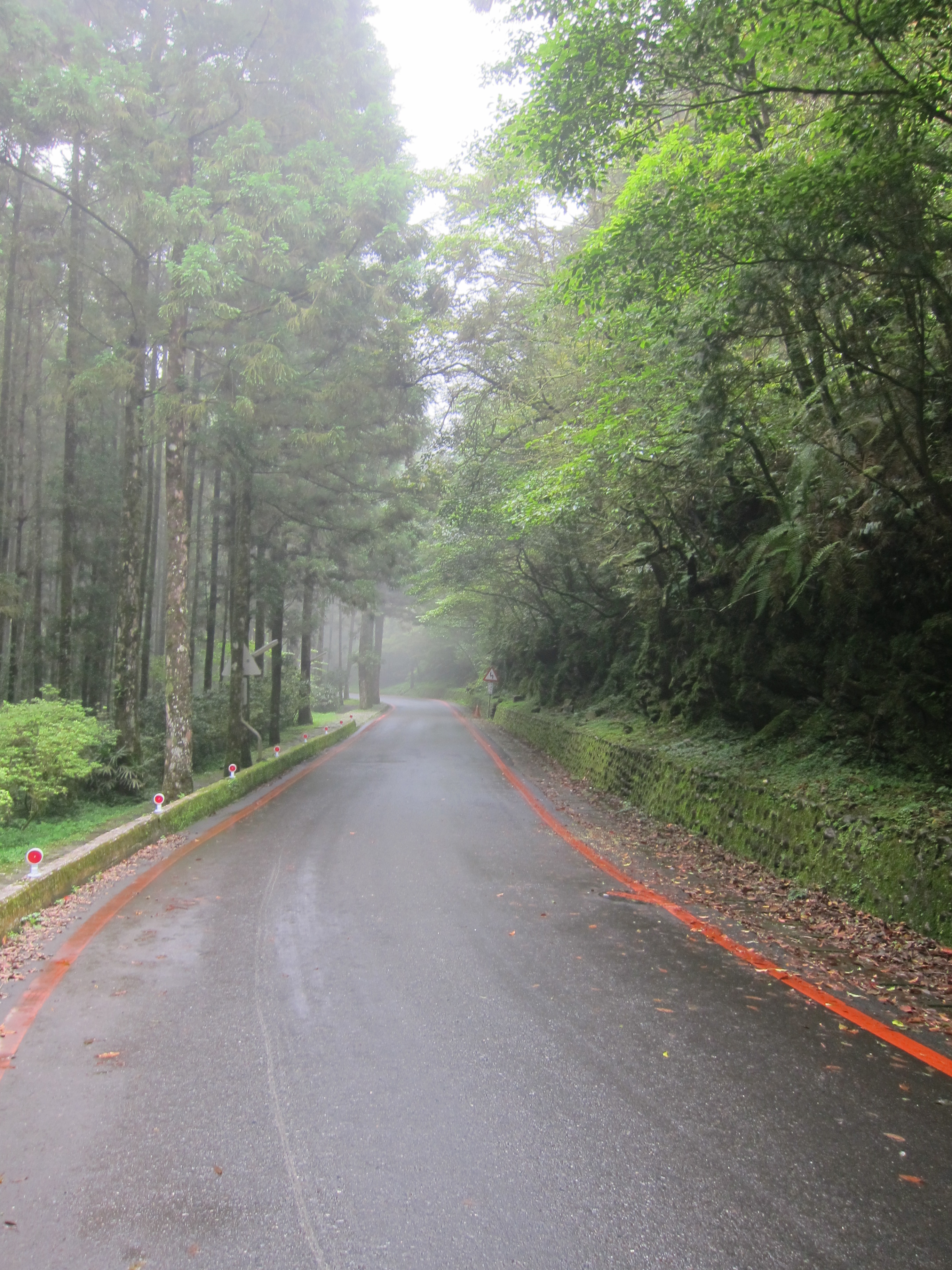 棲蘭明池森林遊樂區