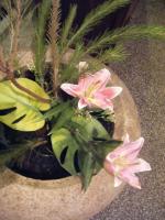 鼎王麻辣鍋(精誠店)：鼎王，我來了!!