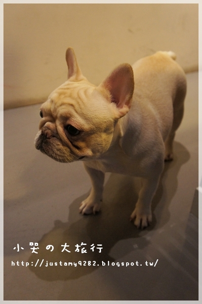 Läbu Café：[台北市] 下雨天的午後，來★Läbu Café★休息片刻吧!!!