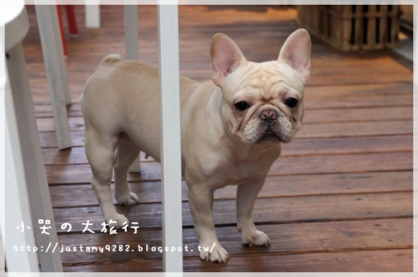 Läbu Café：[台北市] 下雨天的午後，來★Läbu Café★休息片刻吧!!!