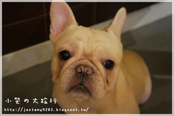 Läbu Café：[台北市] 下雨天的午後，來★Läbu Café★休息片刻吧!!!