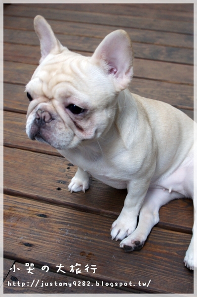 Läbu Café：[台北市] 下雨天的午後，來★Läbu Café★休息片刻吧!!!