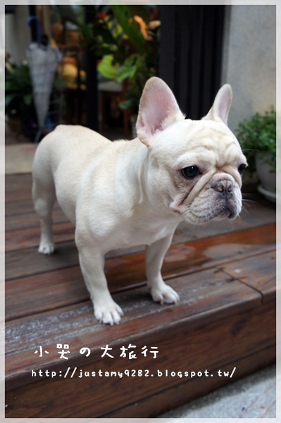 Läbu Café：[台北市] 下雨天的午後，來★Läbu Café★休息片刻吧!!!