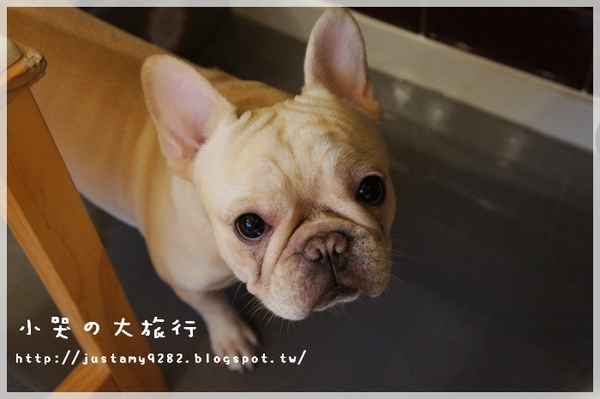 Läbu Café：[台北市] 下雨天的午後，來★Läbu Café★休息片刻吧!!!