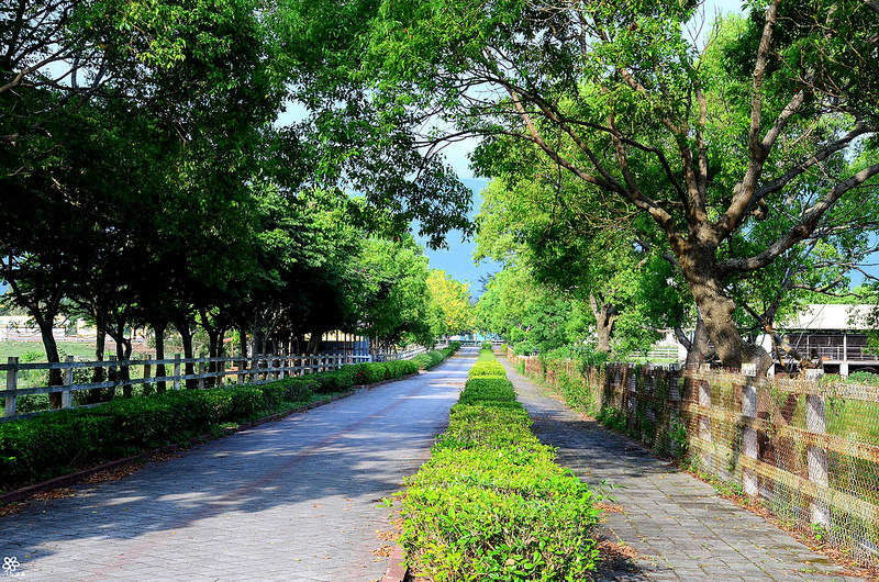 Bon Bon Hair X 台東景點推薦 (59)