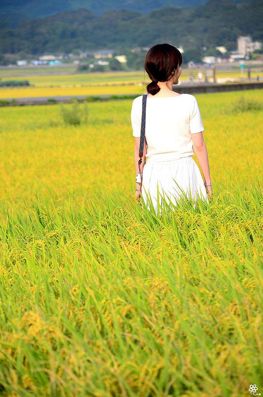 Bon Bon Hair X 台東景點推薦 (65)