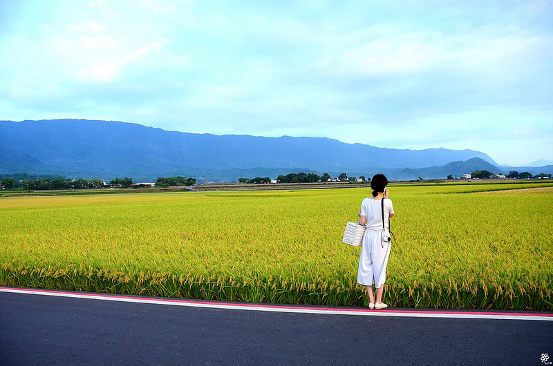 Bon Bon Hair X 台東景點推薦 (77)