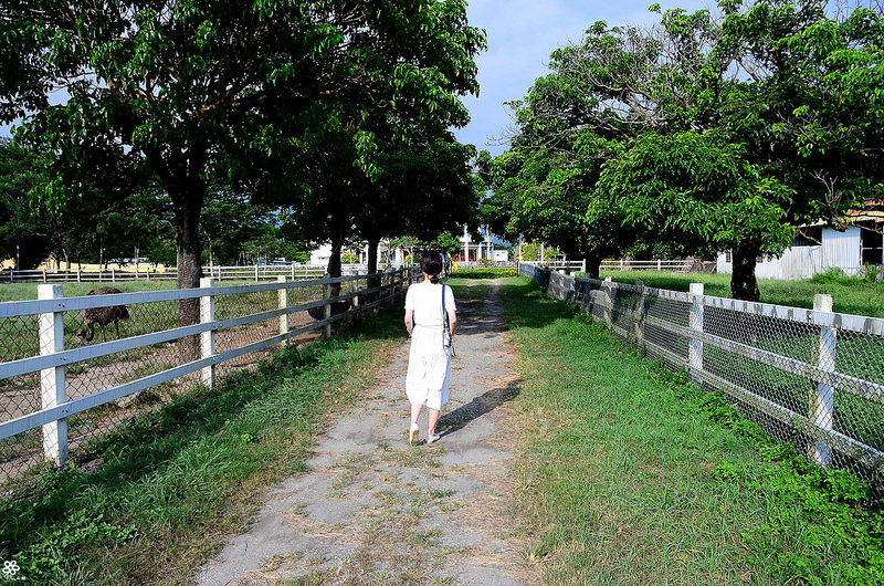 Bon Bon Hair X 台東景點推薦 (57)