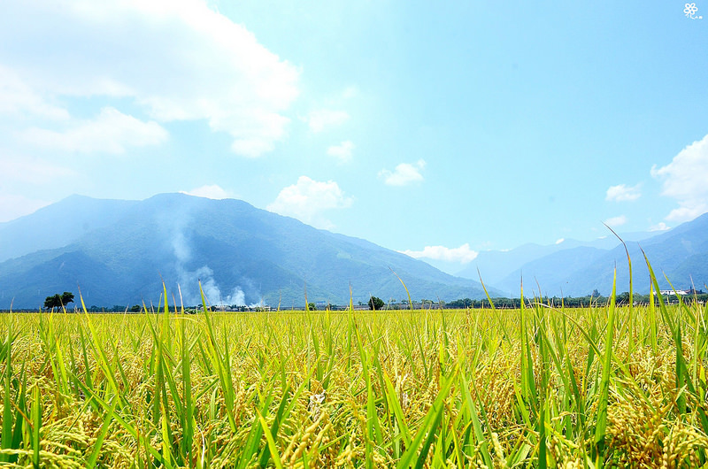 Bon Bon Hair X 台東景點推薦 (41)