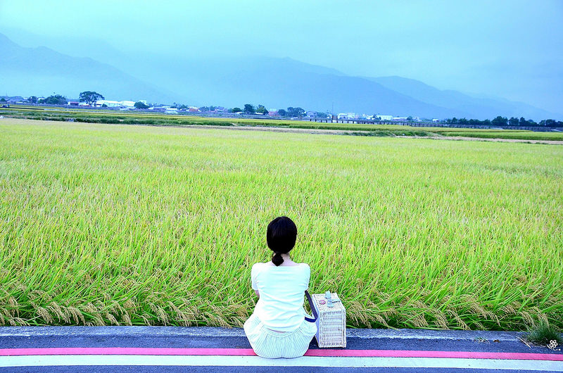 Bon Bon Hair X 台東景點推薦 (78)