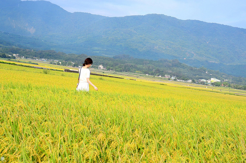 Bon Bon Hair X 台東景點推薦 (64)
