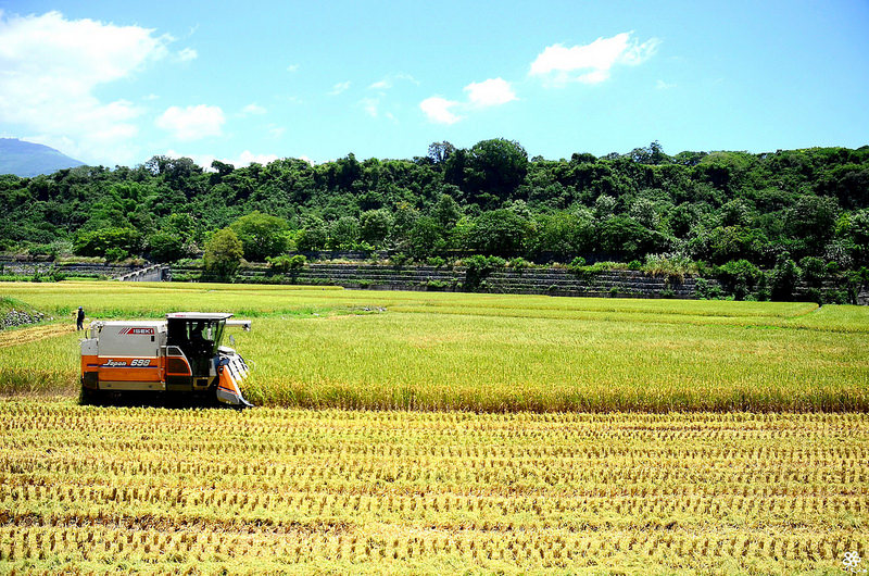 Bon Bon Hair X 台東景點推薦 (23)