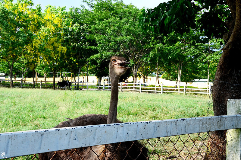 Bon Bon Hair X 台東景點推薦 (56)