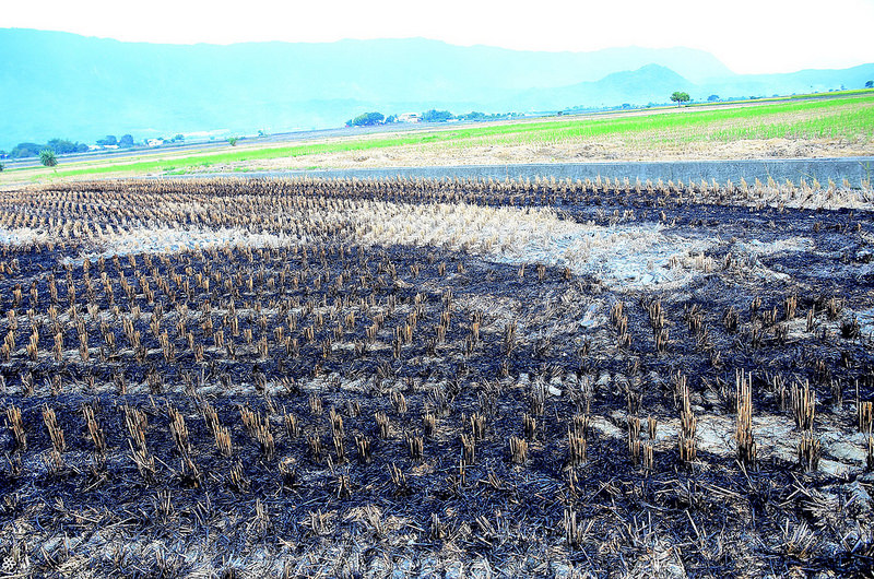 Bon Bon Hair X 台東景點推薦 (75)
