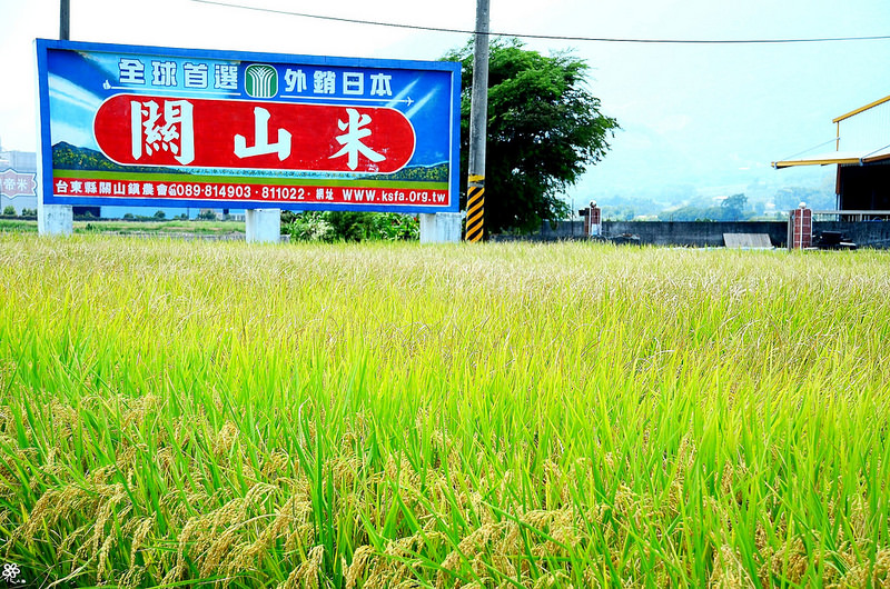 Bon Bon Hair X 台東景點推薦 (35)