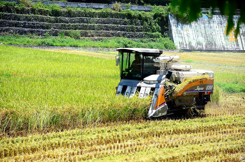 Bon Bon Hair X 台東景點推薦 (24)
