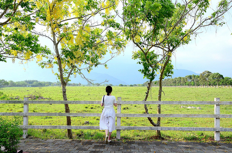 Bon Bon Hair X 台東景點推薦 (60)