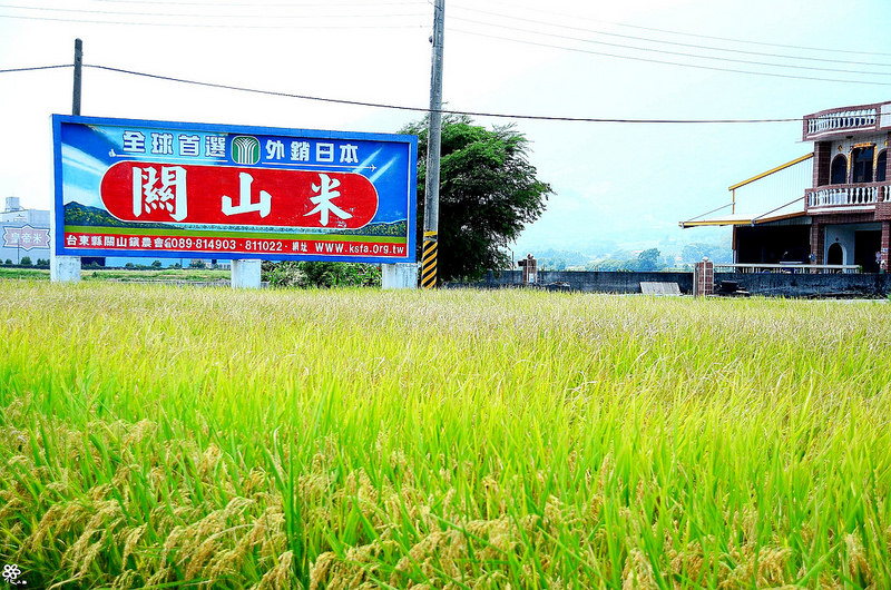 Bon Bon Hair X 台東景點推薦 (34)