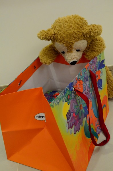 Haagen-Dazs 哈根達斯:【美食。臺灣】就用這個攻佔嫦娥的心吧 ❤Haagen-Dazs冰淇淋月餅,玲瓏心意❤