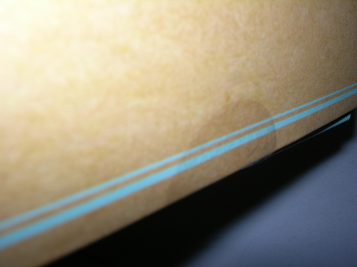 DSCN7851.JPG - 月下戀人