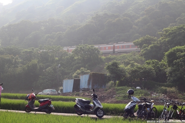 五福圳自行車道: 賞荷趣☼清水趙家古厝&五福圳自行車道~103.05.31