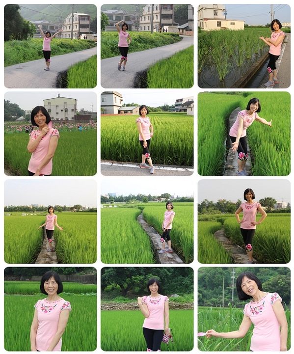 五福圳自行車道: 賞荷趣☼清水趙家古厝&五福圳自行車道~103.05.31