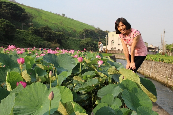 五福圳自行車道: 賞荷趣☼清水趙家古厝&五福圳自行車道~103.05.31