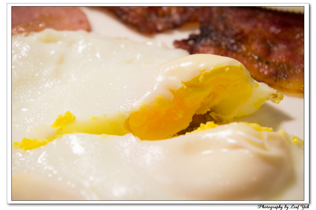 葉影瓶像版權所有