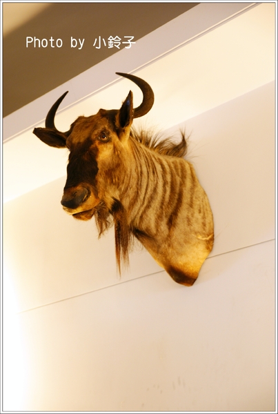 Le Coq公雞咖啡:三芝淺水灣「Le Coq」聽見海浪的聲音