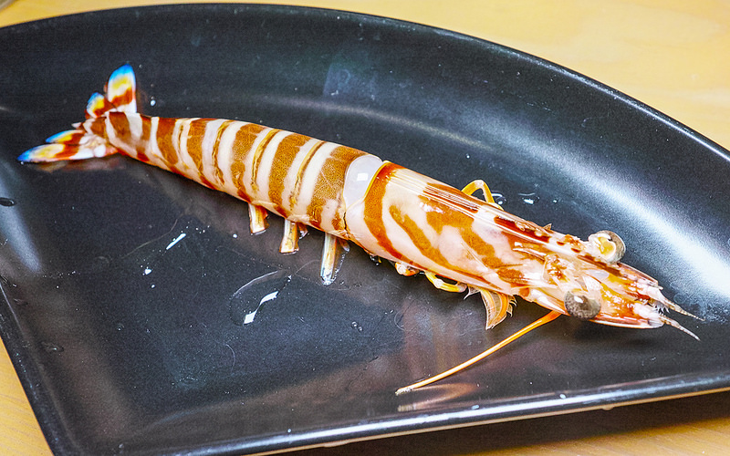 中山區 日本料理 無菜單料理