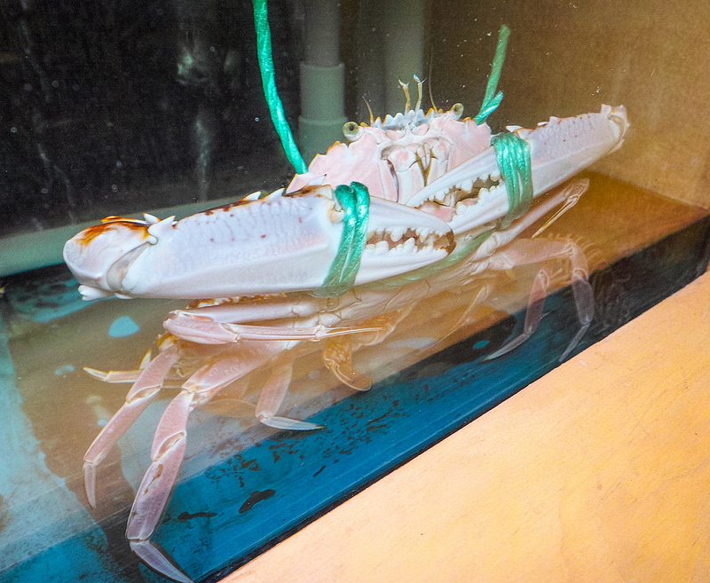 中山區 日本料理 無菜單料理