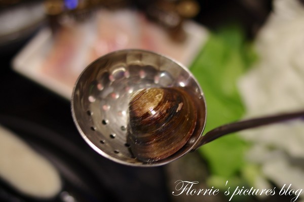 嚴選鍋品食尚養生麻辣鴛鴦鍋：台北大同區美食~嚴選鍋品食尚麻辣鴛鴦鍋~有鱘龍魚的火鍋店