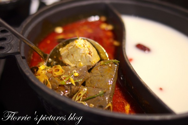 嚴選鍋品食尚養生麻辣鴛鴦鍋：台北大同區美食~嚴選鍋品食尚麻辣鴛鴦鍋~有鱘龍魚的火鍋店