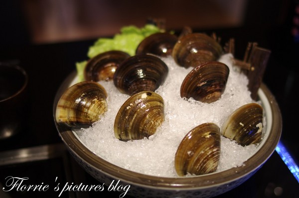 嚴選鍋品食尚養生麻辣鴛鴦鍋：台北大同區美食~嚴選鍋品食尚麻辣鴛鴦鍋~有鱘龍魚的火鍋店