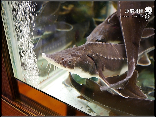 nEO_IMG_nEO_IMG_P1330380