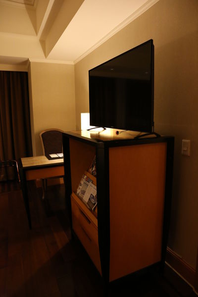 高雄苓雅麗尊酒店THE LEES HOTEL高雄住宿推薦高雄旅遊高雄一日遊高雄捷運信義國小兩日遊住宿推薦9957