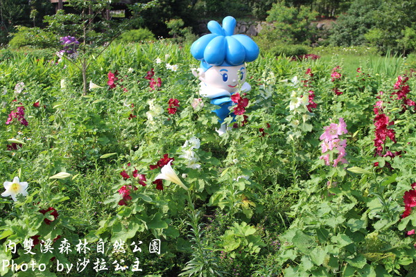 內雙溪森林自然公園:士林-內雙溪自然中心(免費參觀)