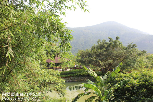 內雙溪森林自然公園:士林-內雙溪自然中心(免費參觀)