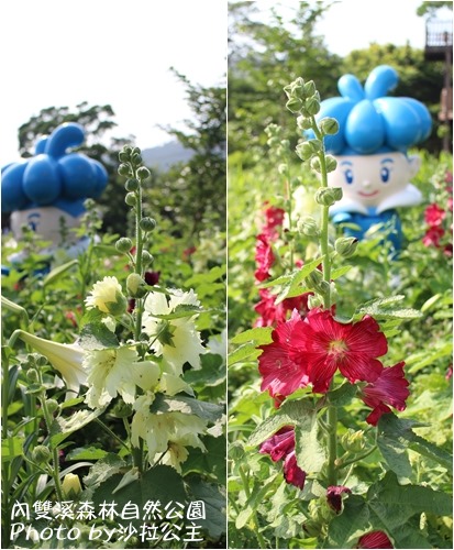 內雙溪森林自然公園:士林-內雙溪自然中心(免費參觀)