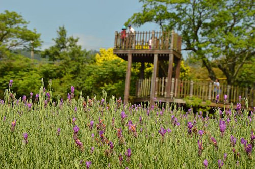 內雙溪自然中心01