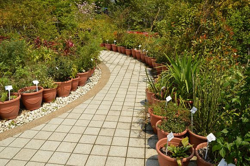 內雙溪自然中心54