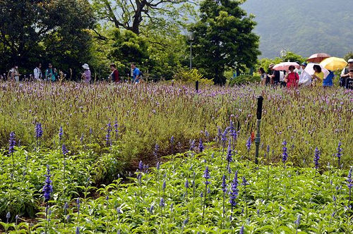 內雙溪自然中心13