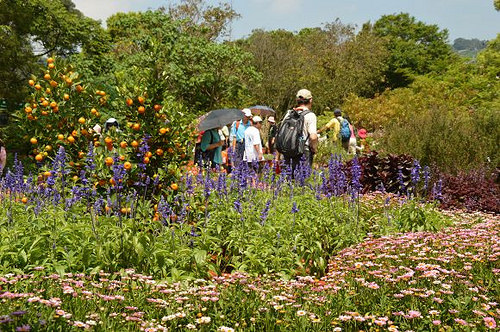 內雙溪自然中心52