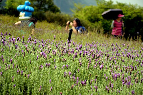 內雙溪自然中心18